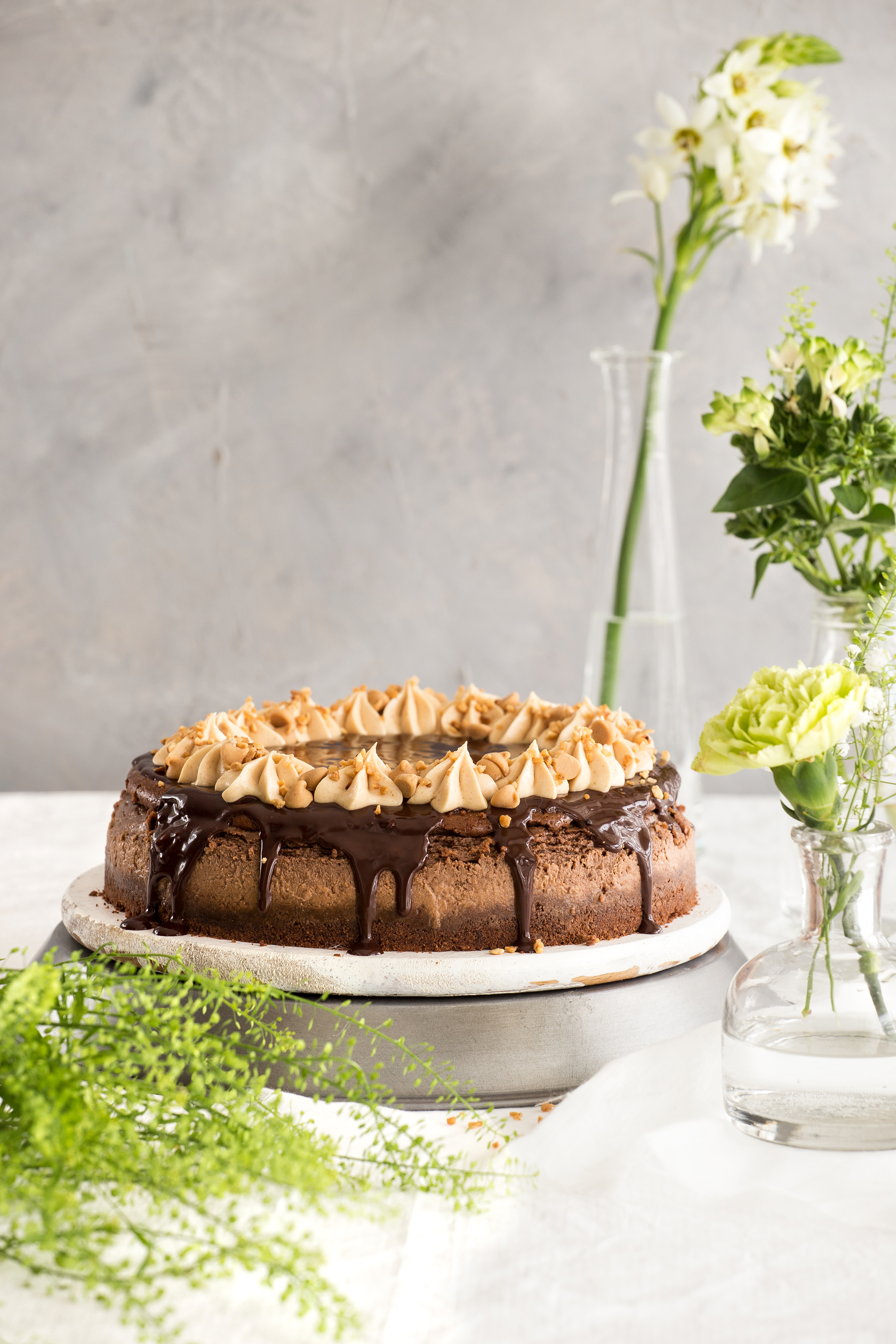 Chocolate Cheesecake with Peanut Butter Cream