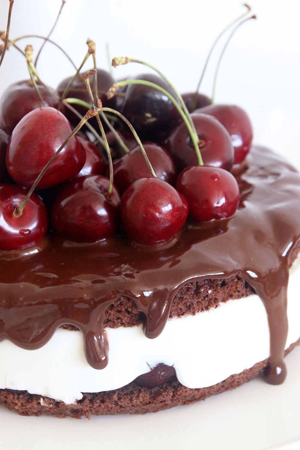 עוגת קוקילידה שוקולד ודובדבנים טבעונית | צילום: נטלי לוין
