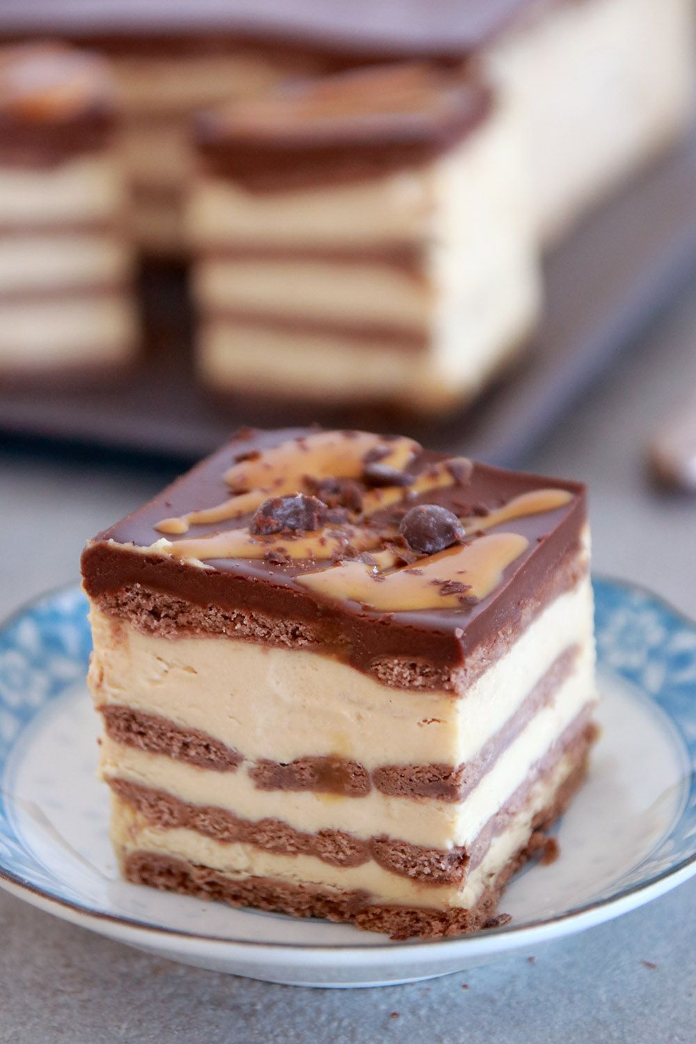 עוגת ביסקוויטים חמאת בוטנים ושוקולד | צילום: נטלי לוין