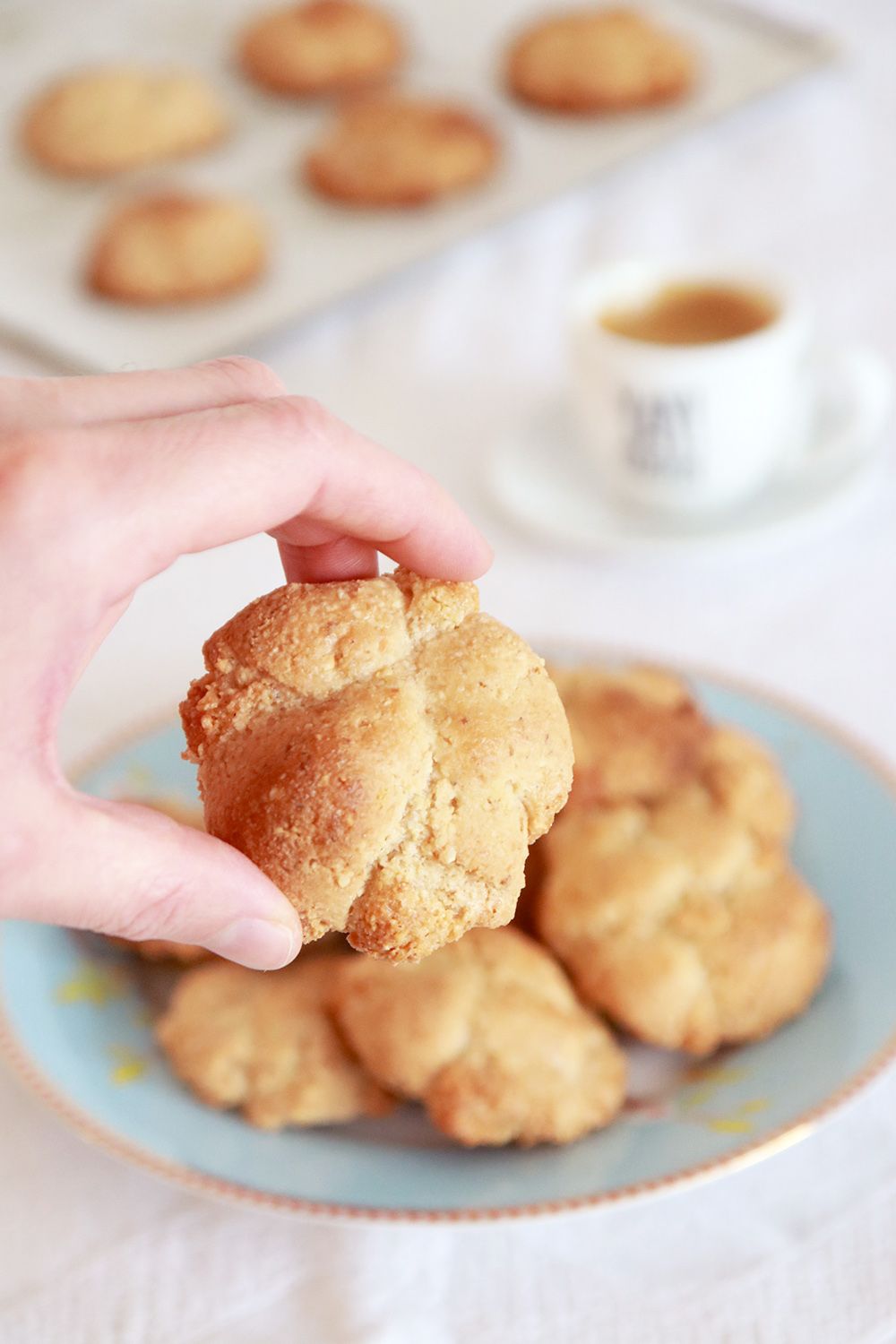 עוגיות אגוזי לוז איטלקיות - Brutti Ma Buoni | צילום: נטלי לוין
